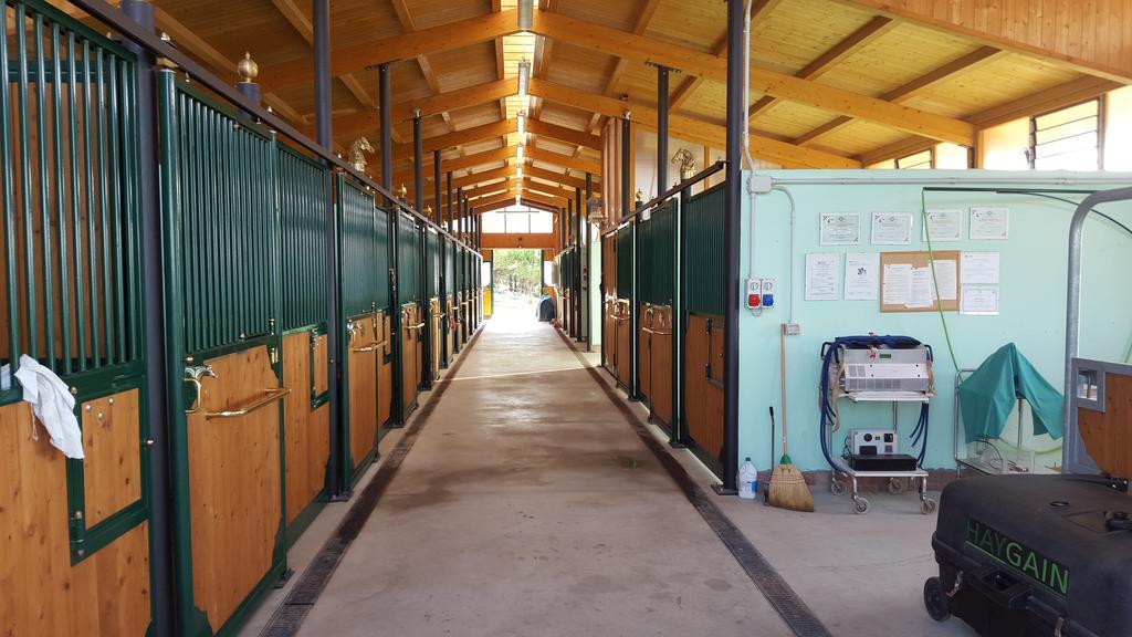 Farm stay Allevamento