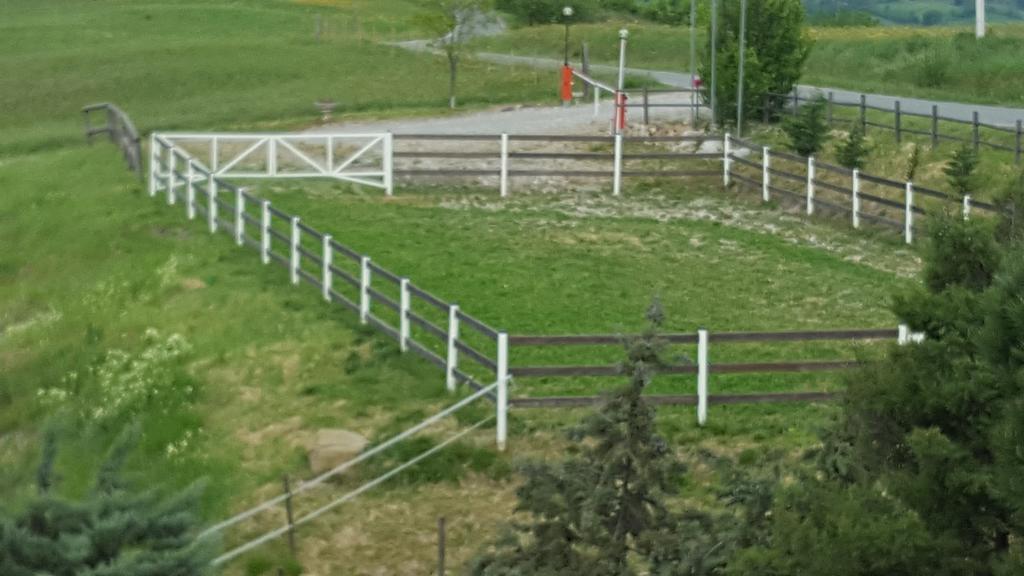 Farm stay Allevamento *